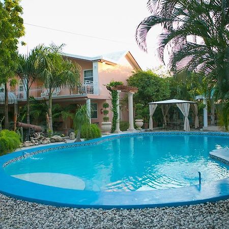 Palm Inn Hotel Port-au-Prince Pokoj fotografie