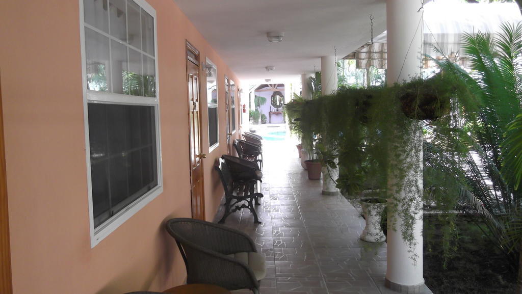 Palm Inn Hotel Port-au-Prince Exteriér fotografie